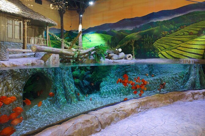 Lotte World Aquarium Hanoi Admission Ticket - Final Thoughts