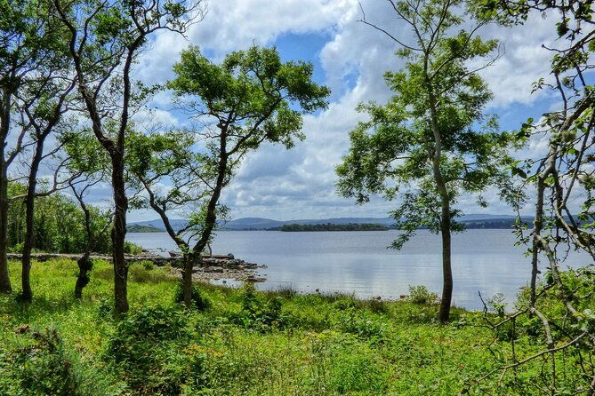 lough-corrib-history-and-scenic-lake-cruise-from-lisloughrey-pier-tour