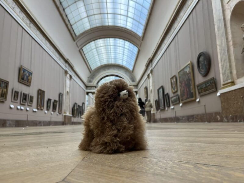 louvre-museum-entry-ticket-and-private-guided-tour