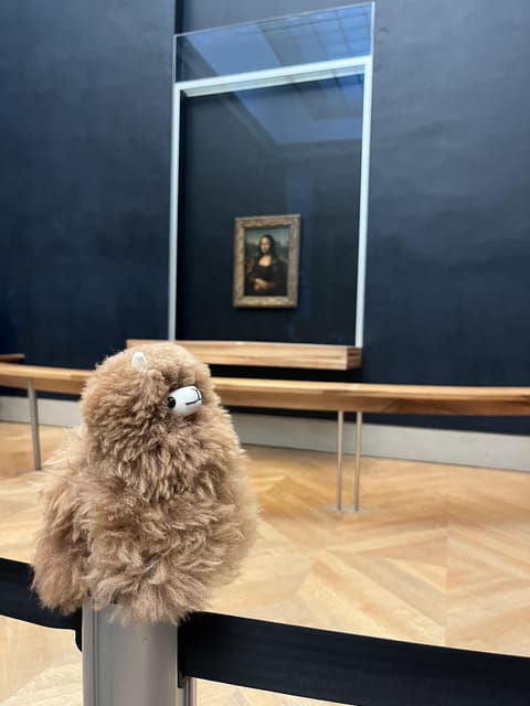 louvre-museum-entry-ticket-and-private-guided-tour