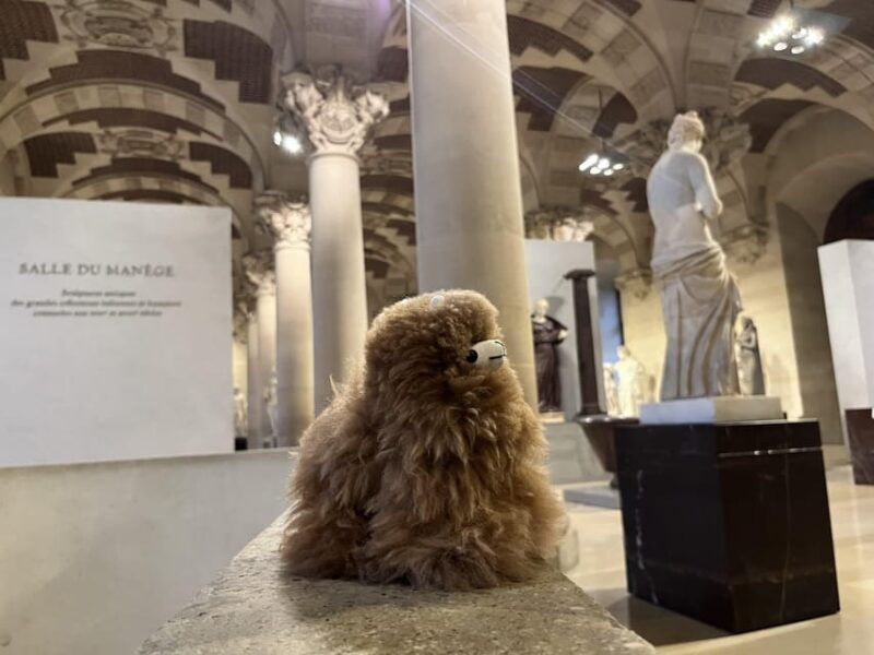 louvre-museum-entry-ticket-and-private-guided-tour