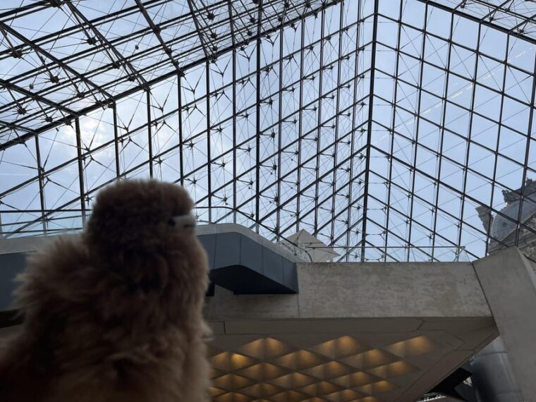 louvre-museum-entry-ticket-and-private-guided-tour