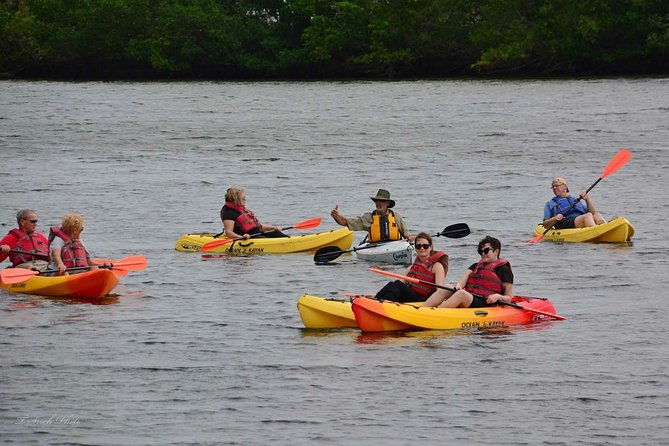 lovers-key-guided-eco-tour-mangrove-estuary