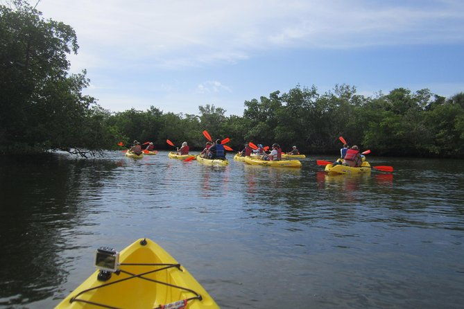 lovers-key-guided-eco-tour-mangrove-estuary