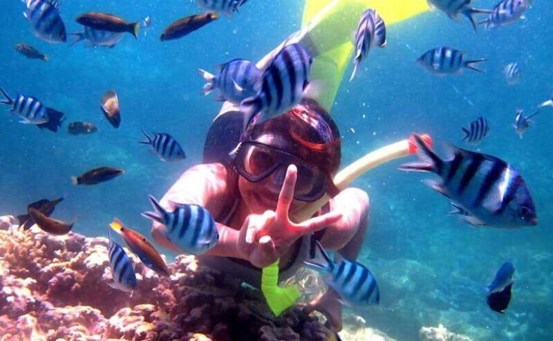 lovina-bali-dolphin-watching-tour-swimming-and-snorkeling