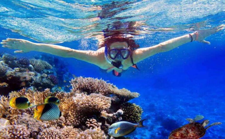 lovina-bali-dolphin-watching-tour-swimming-and-snorkeling