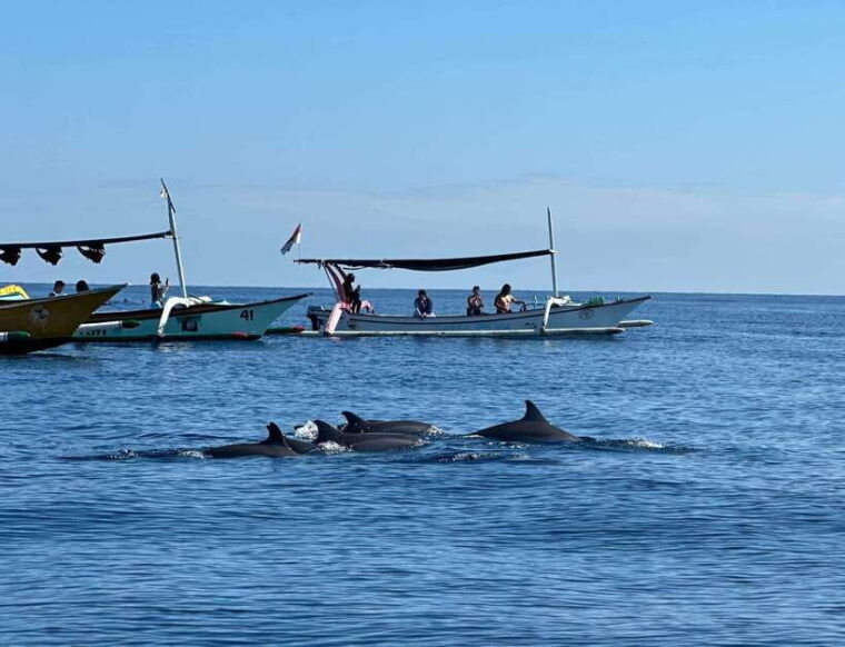 lovina-bali-dolphin-watching-tour-swimming-and-snorkeling