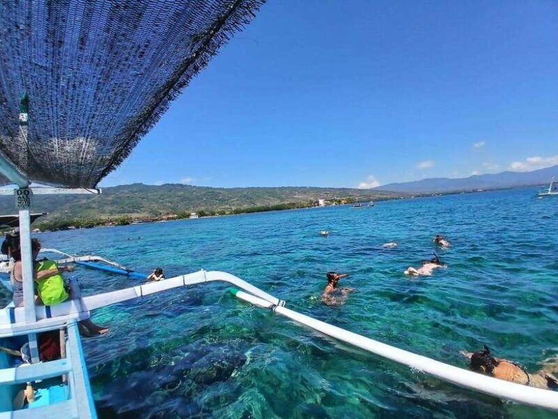 lovina-bali-special-dolphin-watchingswimmingsnorkeling