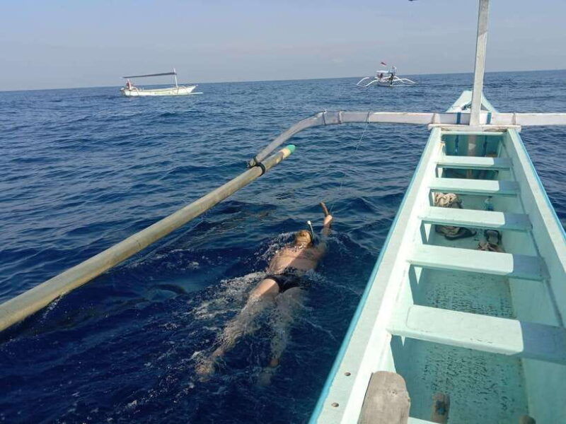 lovina-bali-special-dolphin-watchingswimmingsnorkeling