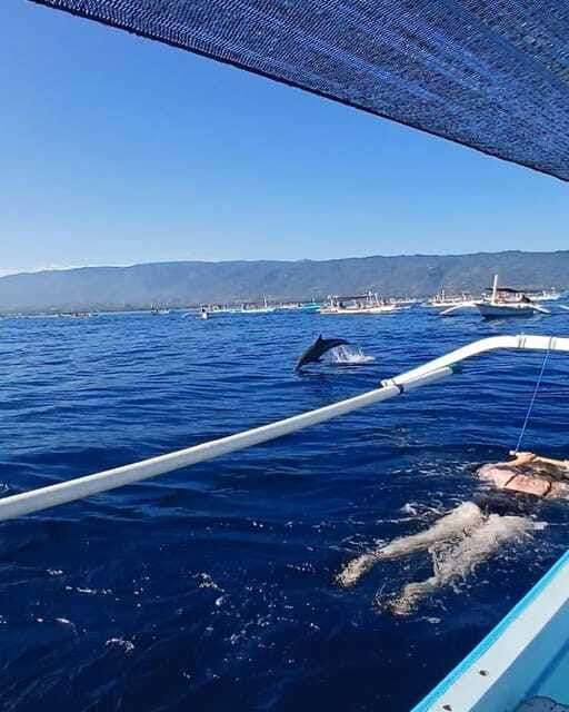 lovina-bali-special-dolphin-watchingswimmingsnorkeling