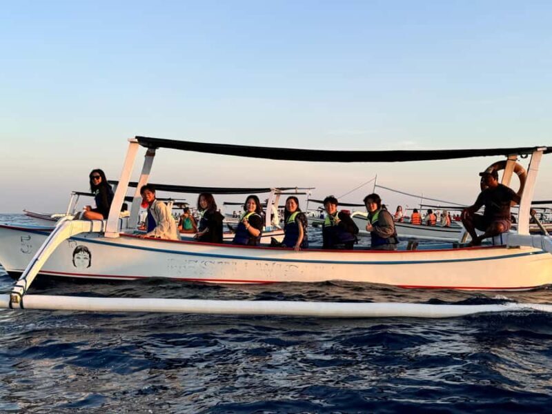 Lovina: Dolphin Watching Day Tour with Snorkeling - Who Would Love This Tour?