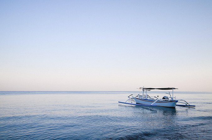 Lovina Dolphin Watching, Snorkeling and Waterfall Tour in Bali - Transportation and Logistics