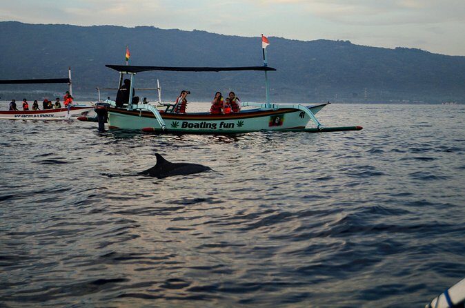 Lovina Dolphin Watching, Snorkeling and Waterfall Tour in Bali - Pricing & Value