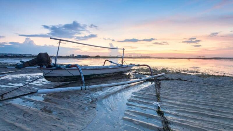 Lovina: Dolphin Watching Snorkeling Tour And Ocean Swing - Who Is This Tour Best For?