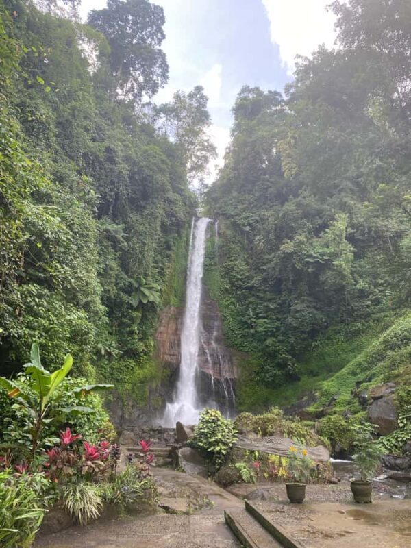 Lovina: Private Fishing Trip, Dolphin Watching, & Waterfall - Cost and Value