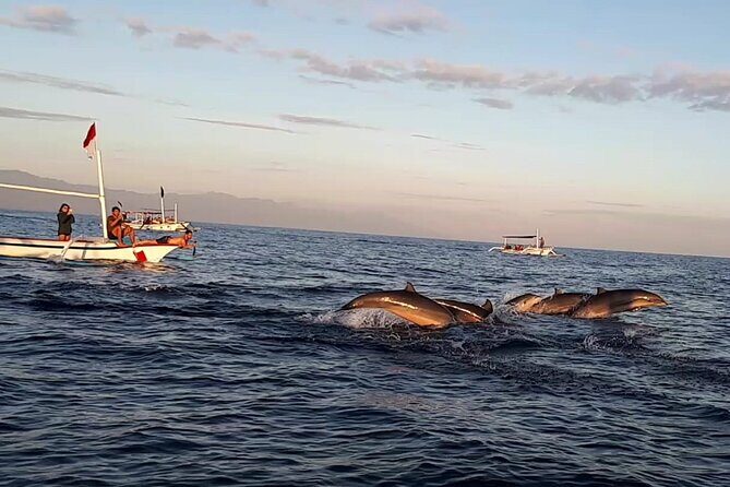 Lovina Sunrise Dolphin with option snorkeling and waterfall - Key Points