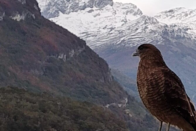 low-cost-ushuaia-national-park-private-tour