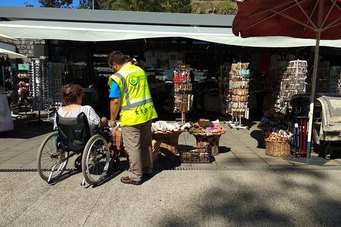 low-cost-wheelchair-handicap-half-day-tour-fully-accessible-tour