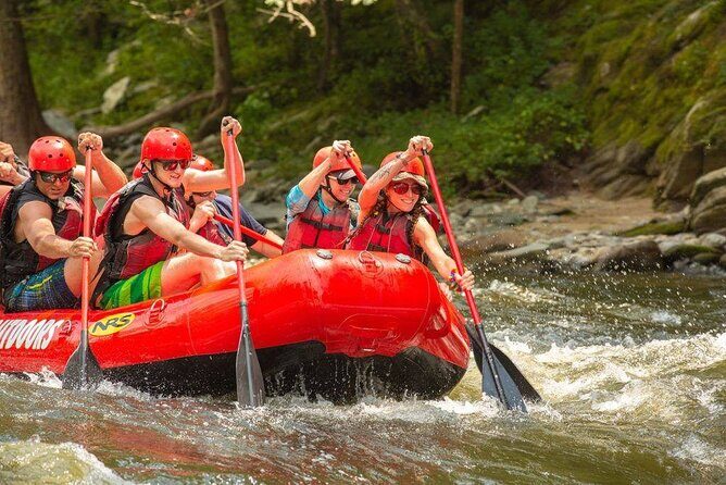 Lower Pigeon River Rafting Tour - What to Expect from the Lower Pigeon River Rafting Adventure