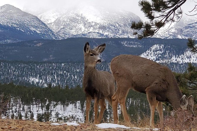 lower-valley-tour-rmnp