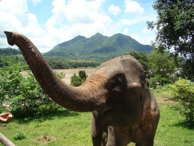 Luang Prabang: 2-Day Explorer Tour - Introduction: A Well-Rounded Look at Luang Prabang’s 2-Day Explorer Tour