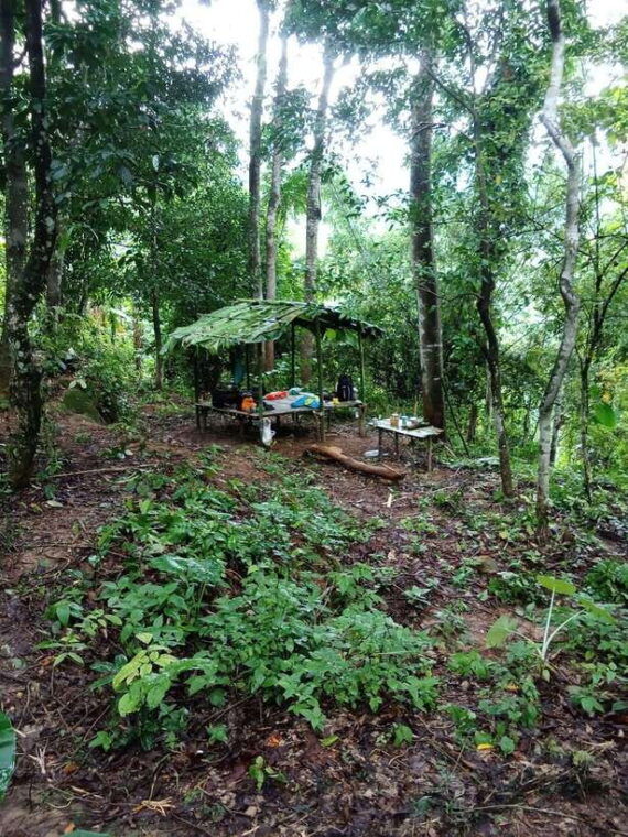 luang-prabang-3-days-ethnic-and-forest-living-mountain