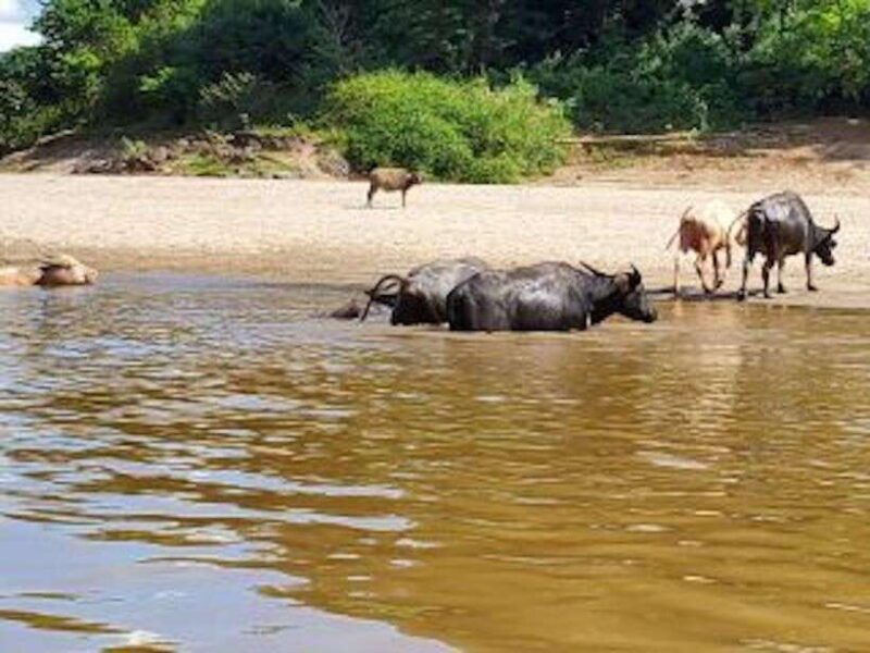 luang-prabang-3-days-ethnic-forest-living-mekong