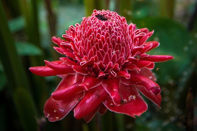 Luang Prabang Alms Giving and Kuang Si Waterfall Private Tour - Final Thoughts