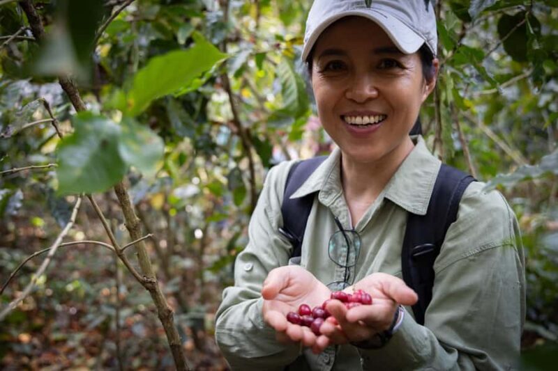 Luang Prabang: Coffee Farm Tour with Roasting & Workshop - An Overview of the Experience
