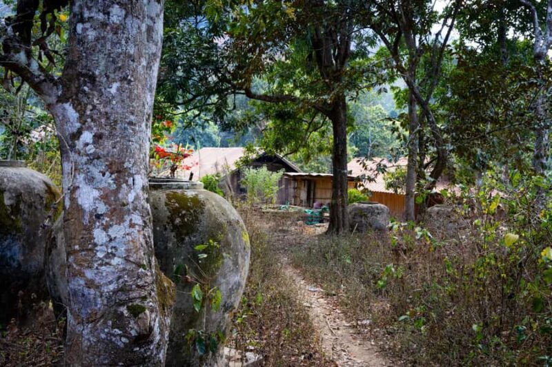 Luang Prabang: Coffee Farm Tour with Roasting & Workshop - Frequently Asked Questions