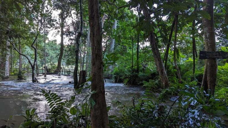 luang-prabang-full-day-trek-to-kuang-si-waterfall-village