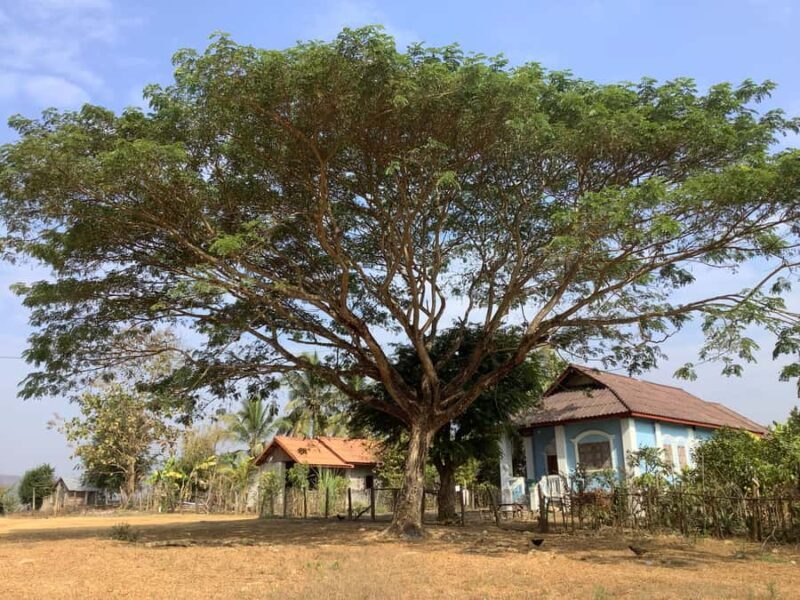 Luang Prabang: Hmong Village + Rafting Day Trip - An In-Depth Look at the Tour Experience