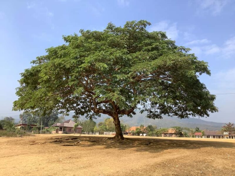 Luang Prabang: Hmong Village + Rafting Day Trip - FAQ