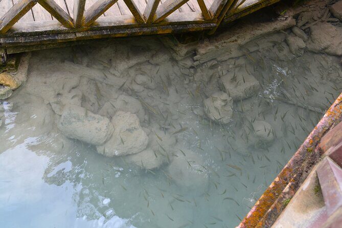 Luang Prabang Private Car Charter: Kuang Si Waterfall (5h) - Authentic Insights from Past Travelers