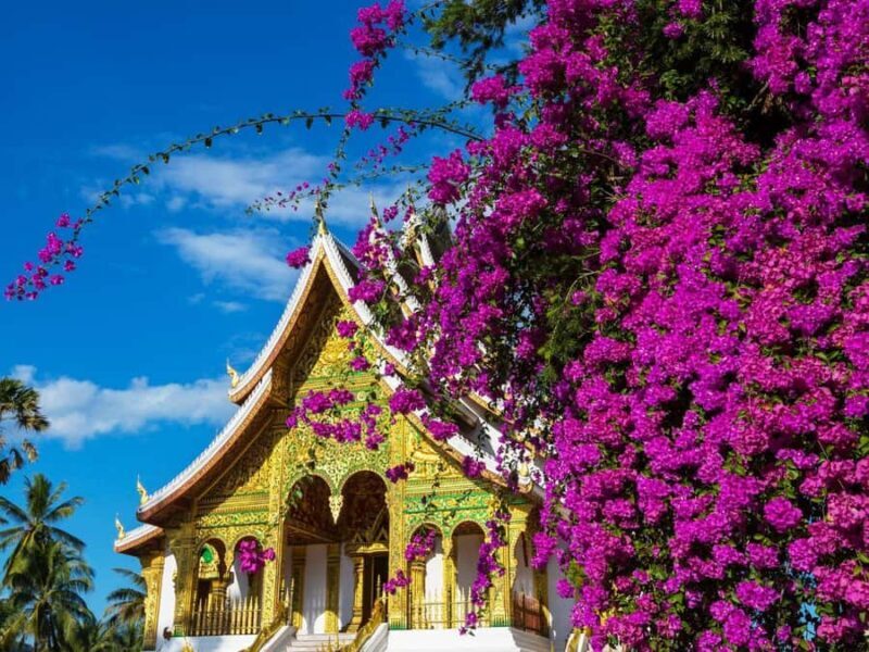 Luang Prabang: Private City Full Day Tour & Night Market - Practical Details & Tips