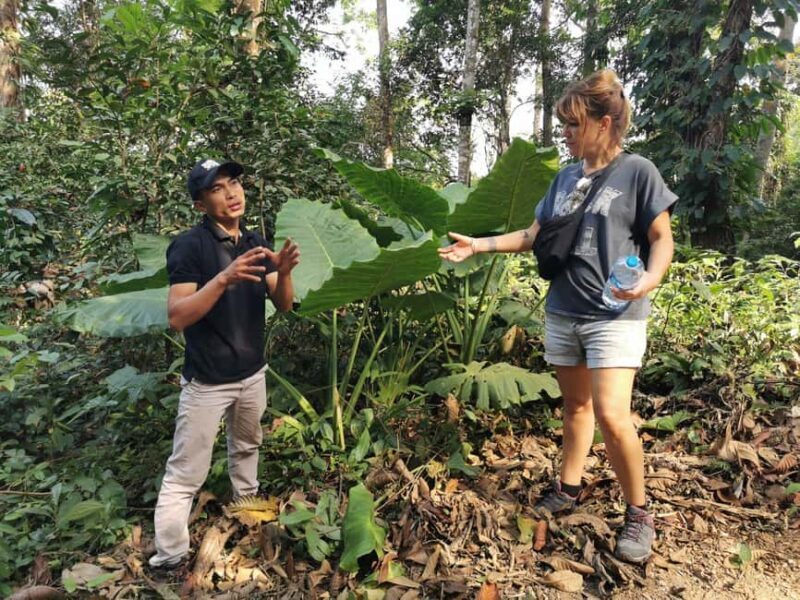 Luang prabang: Survival course in the primary forest. - Authentic Experiences and Insider Tips