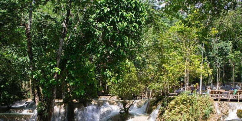 Luang Prabang Thin Pha Trail & Tad Sae Falls Trek - Who Should Consider This Tour?