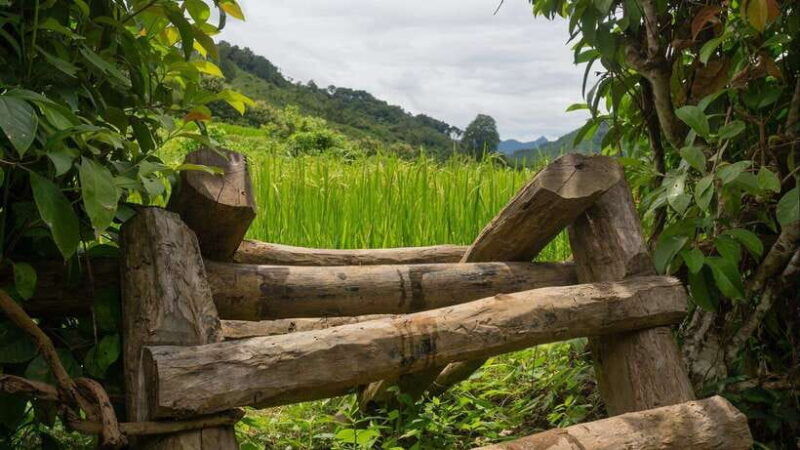 luang-prabang-village-trek-nam-khan-river-kayak-tour