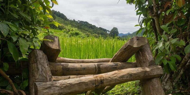 luang-prabang-village-trek-nam-khan-river-kayak-tour