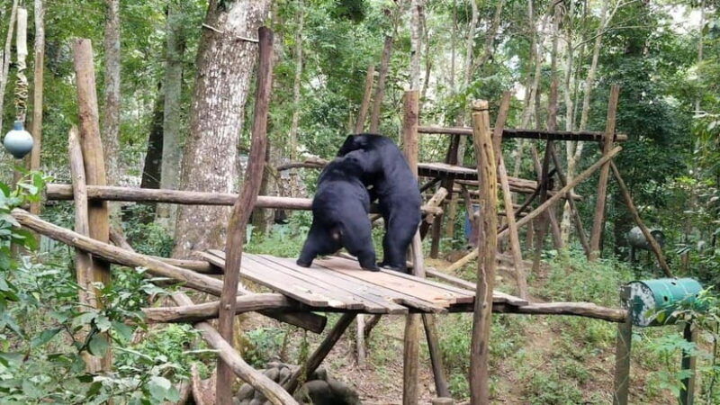 luang-prabang-wildlife-sanctuary-hmong-tribe-village