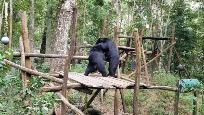 luang-prabang-wildlife-sanctuary-hmong-tribe-village