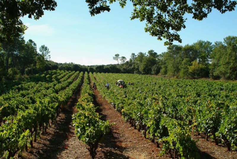 luberon-full-day-wine-tour-from-marseille