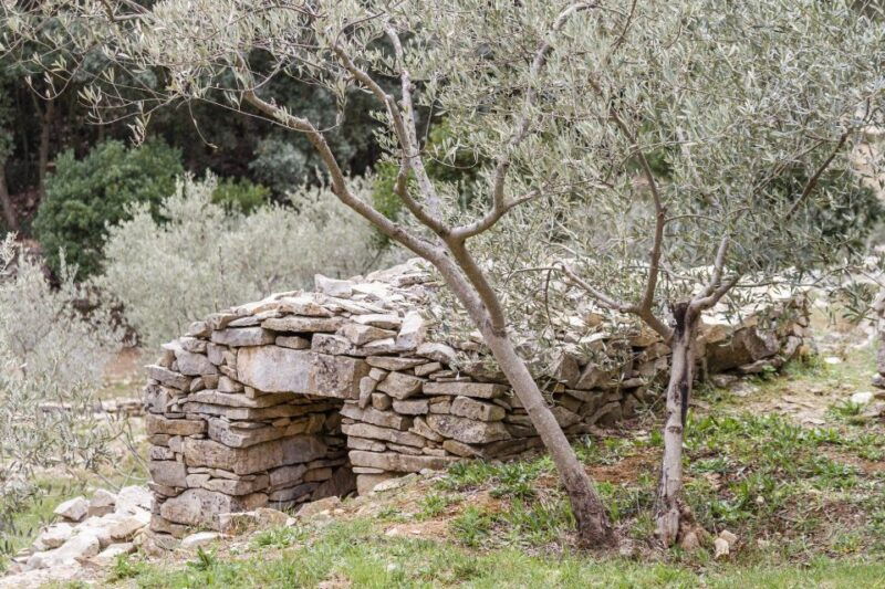 luberon-lagnes-bike-adventure