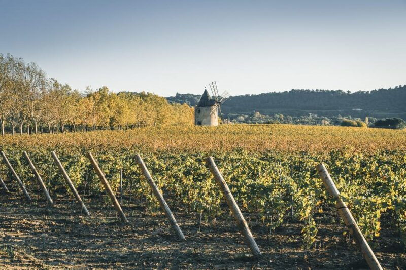 luberon-vineyard-tour-and-wine-tasting