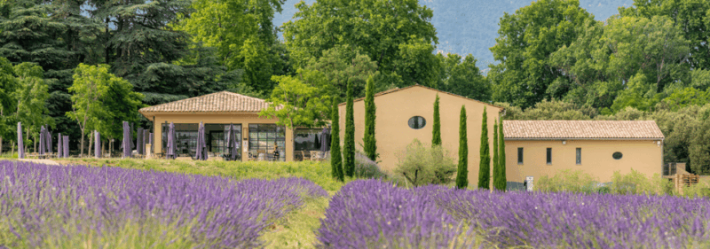 luberon-vineyard-tour-and-wine-tasting