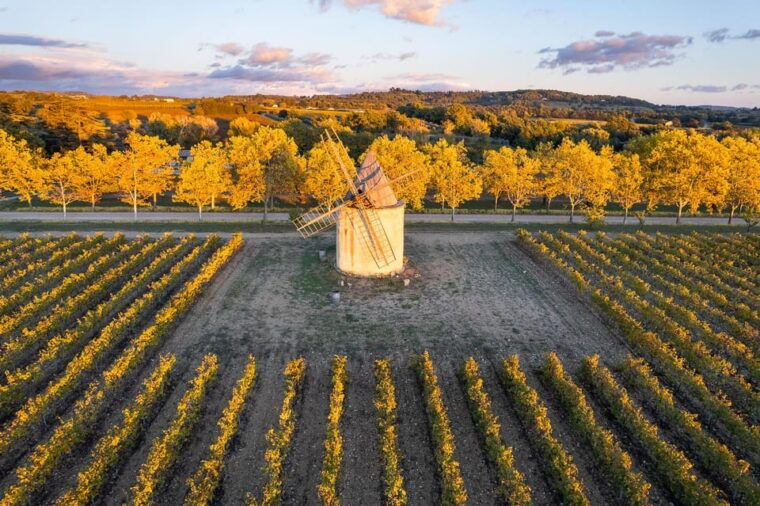 luberon-vineyard-tour-and-wine-tasting
