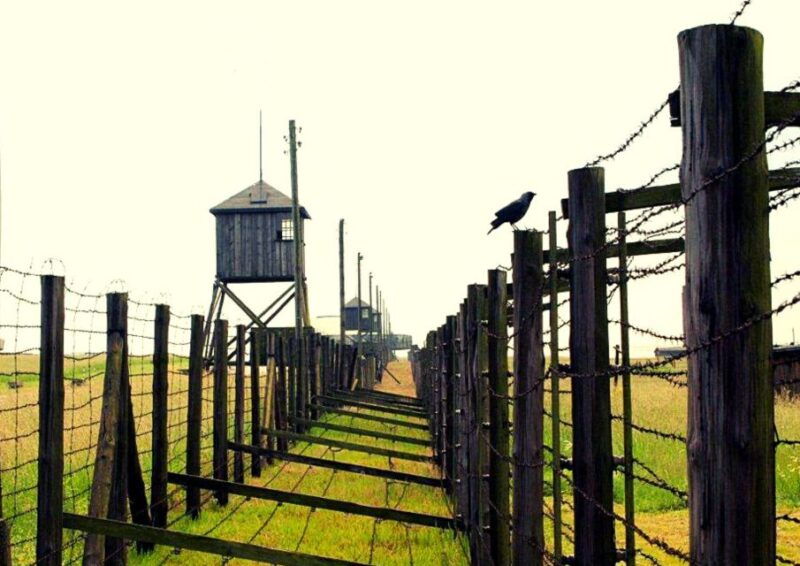 lublin-majdanek-small-group-tour-from-warsaw-with-lunch