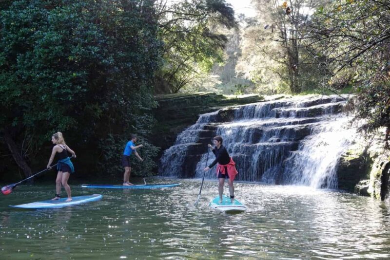 Lucas Creek Waterfall SuP Tour - A Closer Look at the Lucas Creek Waterfall SUP Experience
