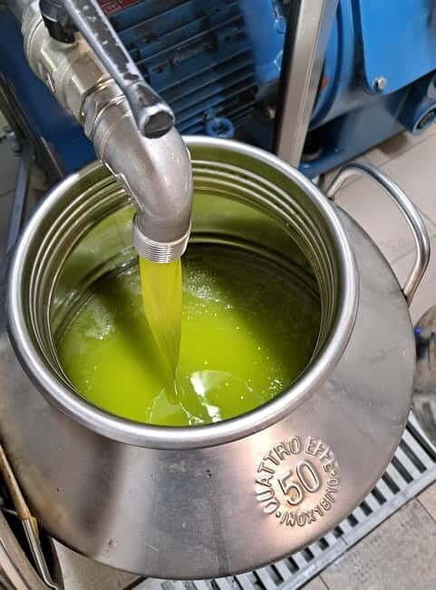 Lucca: Azienda Agricola San Pietro Winery Tour with Tasting - FAQs