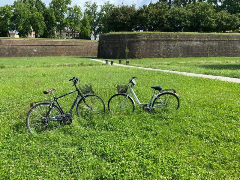 lucca-city-bike-one-day-rental